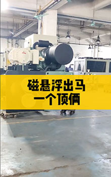 磁懸浮出馬，一個頂倆！